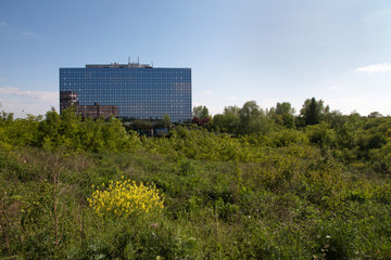 Obraz premium Entreprise contraste nature