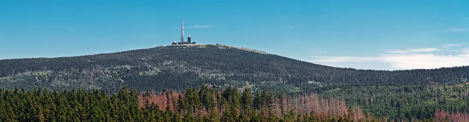 Fototapeten Der Brockengipfel im Harz vom Torfhaus aus gesehen © mojolo