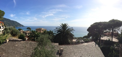 extract of liguria