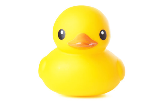 Yellow Rubber Duck Isolated on White Background.