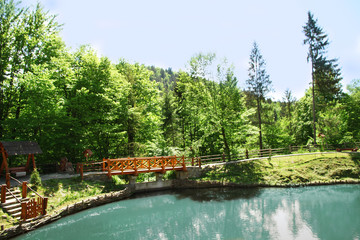 Wooden bridge over lake in park