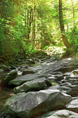 Obraz premium Water flowing on rocks in park