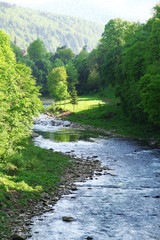 Fototapeta na wymiar Mountain river flowing through the green forest