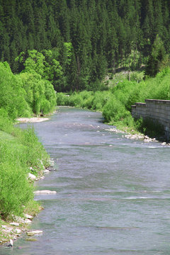 Mountain river flowing through the green forest