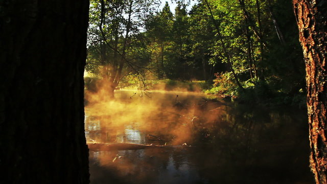Early summer morning. Fog over the water, glistening webs. Camera movement complements the forest landscape of the river, with a beautiful sunrise.