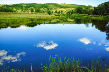 Nature landscape river summer