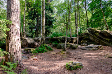 Landschaft der Sächsischen Schweiz
