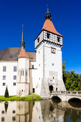 Fototapeta premium palace Blatna, Czech Republic