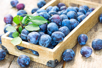 blue plums