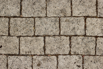 Paving slab texture/background