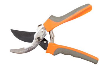 secateurs on a white background