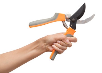 secateurs in hand on a white background