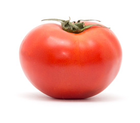tomatoes on a white background