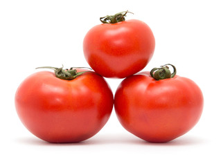 tomatoes on a white background