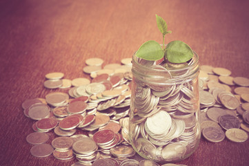 plant growing out of coins with filter effect retro vintage styl
