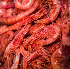 fresh shrimps on a fish market