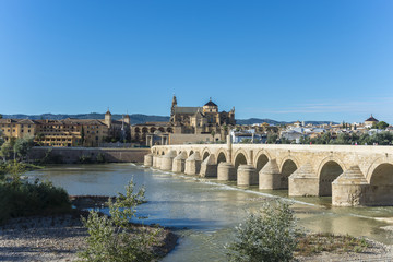 Obraz premium Roman bridge in Cordoba, Andalusia, southern Spain.