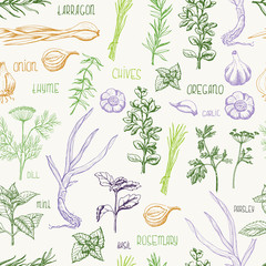 Seamless pattern with herbs and spices