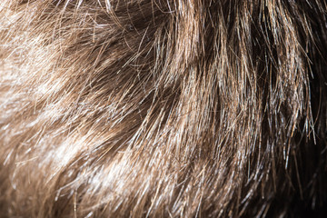 background Hair