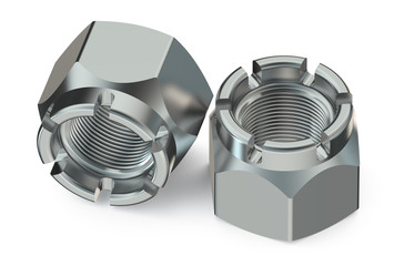Two castellated nuts