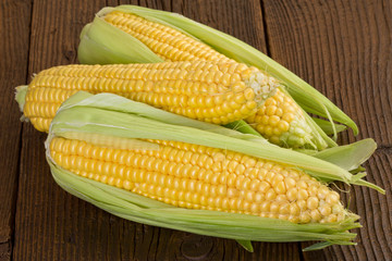 Maize cob in close up