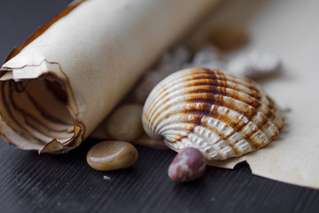 Old scroll of parchment with sea pebbles and seashells, nautical
