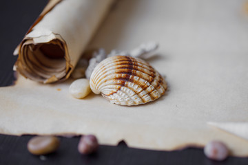 Old scroll of parchment with sea pebbles and seashells, nautical
