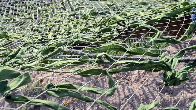 camouflage green masking grid on the wind, security details 