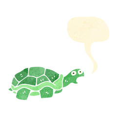 cartoon tortoise