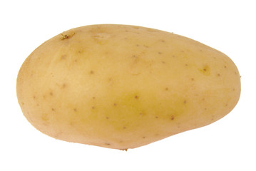 Single yellow potato isolated on white background. Close-up