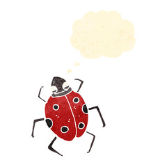 cartoon ladybug