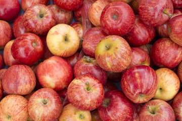 Ricas manzanas en supermercado