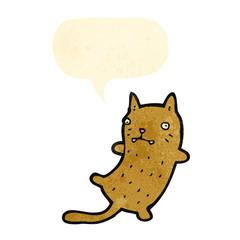 funny cartoon cat