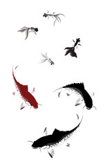 vector carp and gold fish swimming