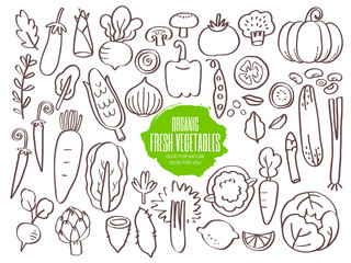 Set of vegetables doodles