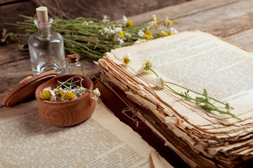 Old book with dry flowers in mortar on table close up