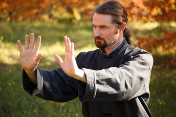 Adult man practicing Tai Chi
