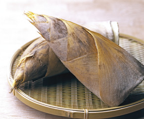 Fototapeta premium たけのこ