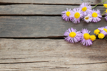 Obraz premium Beautiful small wild flowers on wooden background