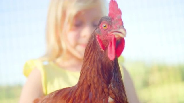 Young blonde girl holding a chicken outside