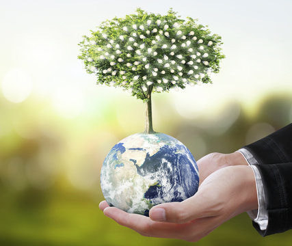 Globe ,earth in human hand, hand holding our planet earth glowin