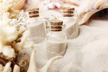 Beautiful seashells on sand background