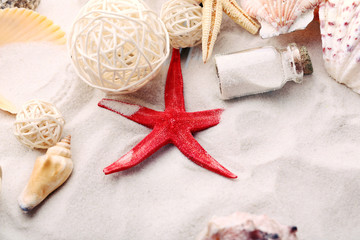 Fototapeta na wymiar Beautiful seashells on sand background