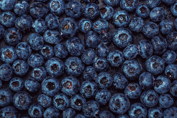 Wet blueberries on black slate