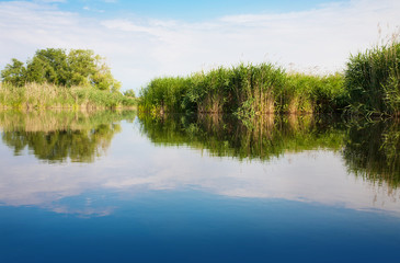 Fototapeta na wymiar River landscape in summer sunny day