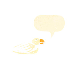 cartoon sea bird