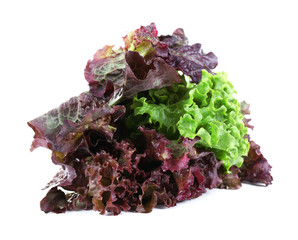 Bunch of lettuce isolated on white