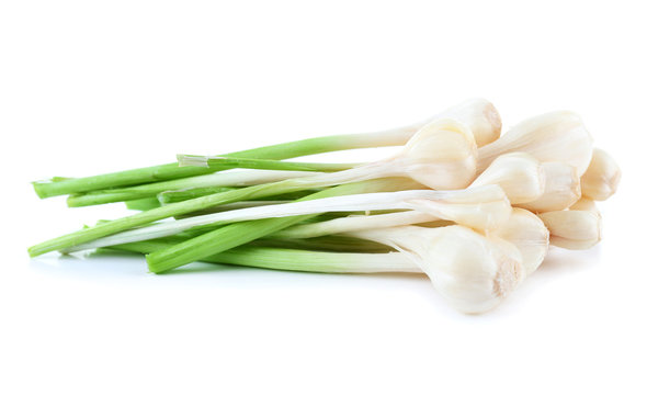 Fresh young garlic isolated on white