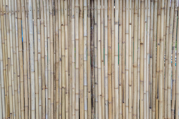 Bamboo fence texture