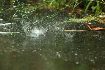 Rainy puddle outdoors